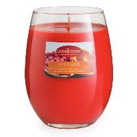 Goji Orange 16oz Candle - Candle Warmers