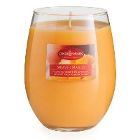 CMD1980/16OZ/CANDLE Summer Mango 16oz Candle - Candle Warmers