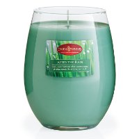 After The Rain 16oz Candle - Candle Warmers