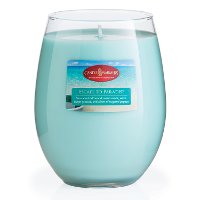Escape To Paradise 16oz Candle - Candle Warmers