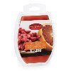 Clearance Goji Orange 5oz Wax Melt - Candle Warmers