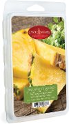 Pineapple Cilantro 5oz Wax Melt - Candle Warmers