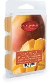Summer Mango 2.5oz Wax Melt - Candle Warmers