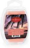 7490S/2OZ/WAX/MELTS Tahitian Sunrise 2oz Wax Melt-1