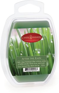 After The Rain 2oz Wax Melt - Candle Warmers