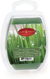 Clearance After The Rain 2oz Wax Melt - Candle Warmers