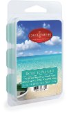 Escape To Paradise 2.5oz Wax Melt - Candle Warmers