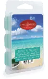 Escape To Paradise 2.5oz Wax Melt