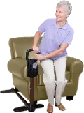 2001 Black CouchCane - Cane Collection