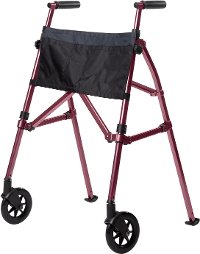 4300-RR Regal Rose EZ Fold-N-Go - Walker Collection