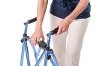 4300-RR Regal Rose EZ Fold-N-Go - Walker Collection-4