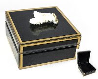 5 Inch Black Wood and Glass Jewelry Box with Coral