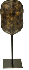 13 Inch Dark Brown Turtle Shell On Stand