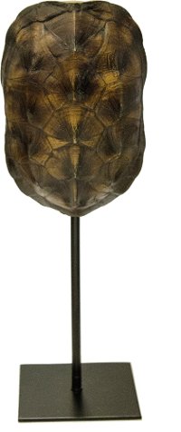 13 Inch Dark Brown Turtle Shell On Stand