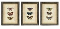Assorted Butterfly Framed Wall Art