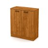 10188 Country Pine Small Storage Cabinet - Axess -2