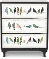 Painted 3 Drawer Bird on a Wire Chest