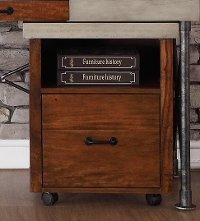 Contemporary 1 Drawer Rolling File Cabinet - Steampunk