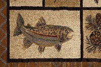 NTR65384x6 4 x 6 Small Brown Lodge Area Rug - Nature-8