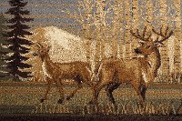 NTR66604x6 4 x 6 Small Brown Lodge Area Rug - Nature-8