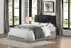 Black Upholstered Contemporary Full/Queen Headboard - Potrero