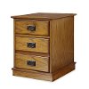 Oak 2 Drawer Mobile File Cabinet- Modern Craftsman
