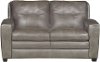 Contemporary Bronze Leather Loveseat - Roland