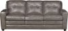 Modern Contemporary Bronze-Brown Leather Sofa Bed - Roland-1