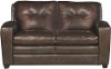 Contemporary Mahogany Brown Leather Loveseat - Roland