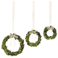 6 Inch Preserved Boxwood Wreath