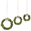Clearance 7 Inch Preserved Boxwood Wreath