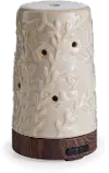 Creamy Glaze Vine Airome Ultrasonic Flourish Oil Diffuser