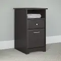 WC31852-03 Espresso Oak 2 Drawer File Cabinet - Cabot