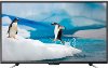 ProScan 55 4K LED TV