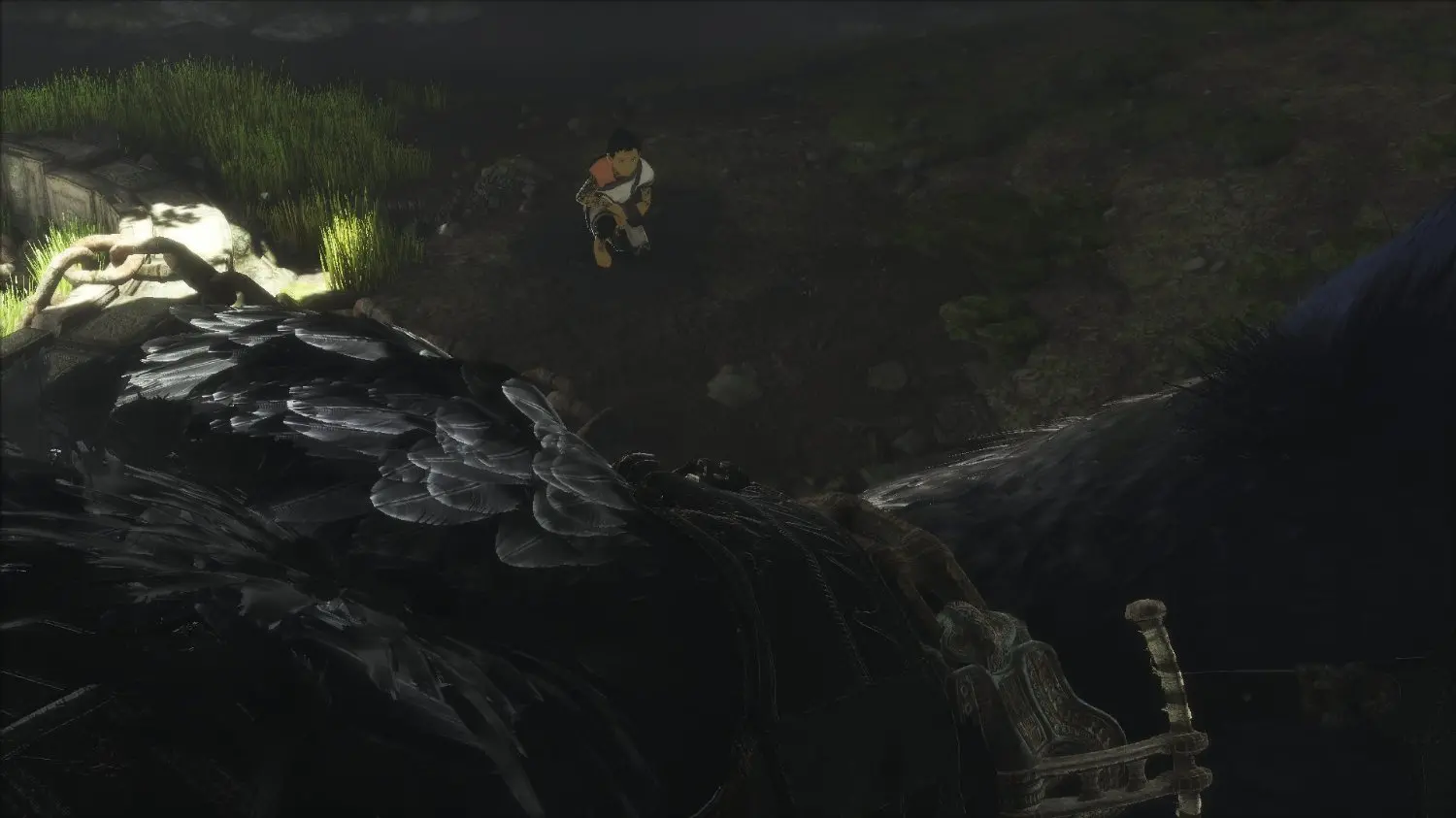 PS4 SCE 301387 The Last Guardian - PS4-2