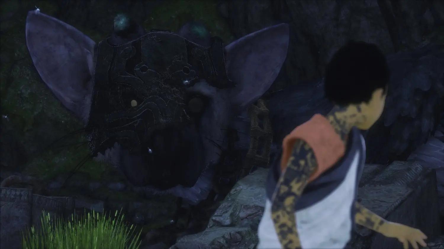 PS4 SCE 301387 The Last Guardian - PS4-3