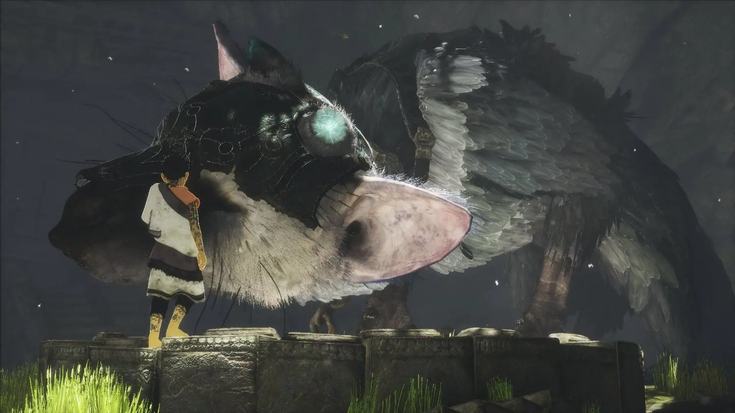 PS4 SCE 301387 The Last Guardian - PS4-4