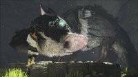 PS4 SCE 301387 The Last Guardian - PS4-4