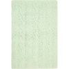 C-TR-SM-S 2 x 4 X-Small Braids Soft Mint Washable Rug-1