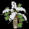 White Christmas Orchids in a Ceramic Vase
