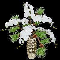 White Christmas Orchids in a Ceramic Vase