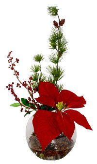 Red Poinsettia and Pine In An Acrylic Arrangement