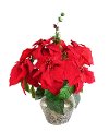 Red Poinsettia and Pine Arrangement in Ceramic Container