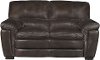 Casual Contemporary Brown Leather Loveseat - Tanner