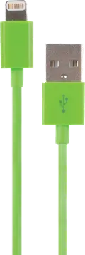 USB to Lightning 4 Ft Cable - Multicolor