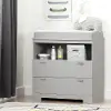 10272 Reevo Gray Changing Table with Storage