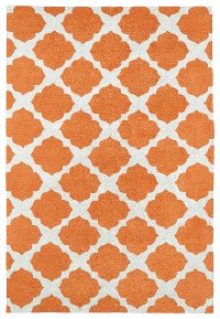 4 x 6 Small Orange & Ivory Area Rug - Lily & Liam