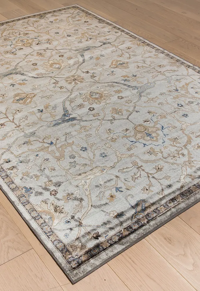 5 x 8 Medium Traditional Ivory and Blue Rug - Sonoma-2