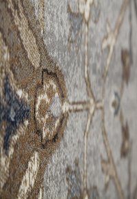 5 x 8 Medium Traditional Ivory and Blue Rug - Sonoma-3