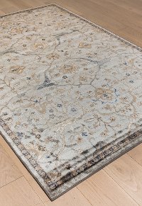 8 x 11 Large Traditional Ivory and Blue Rug - Sonoma-2